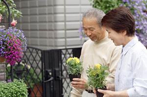 【完全ガイド】婚活成功の鍵は学歴！高学歴専門の結婚相談所で理想のパートナーを見つける方法