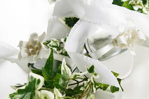 福岡でカラードレスをお探しならこちら